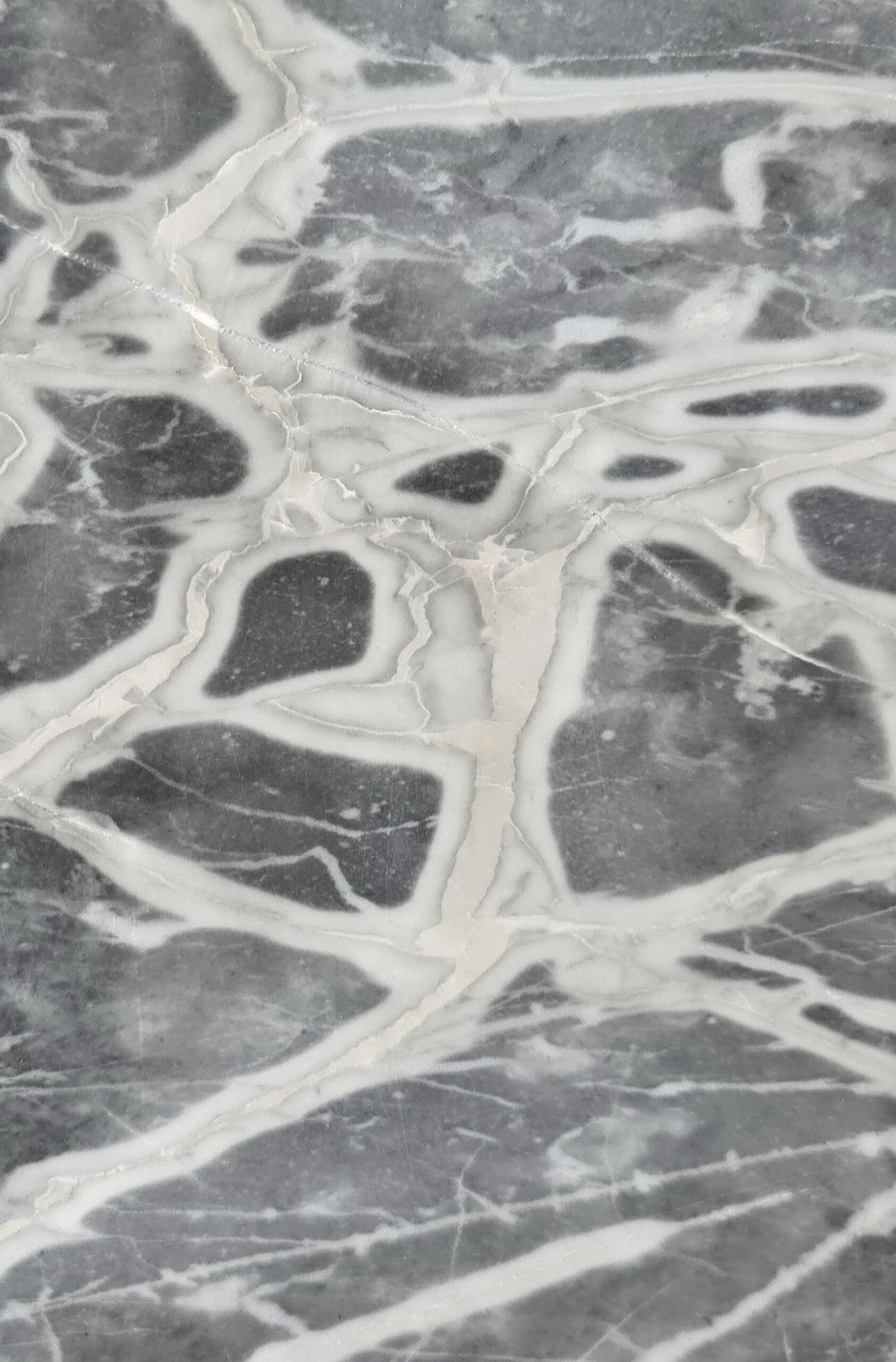 Lastra lucidata di Calacatta Silver