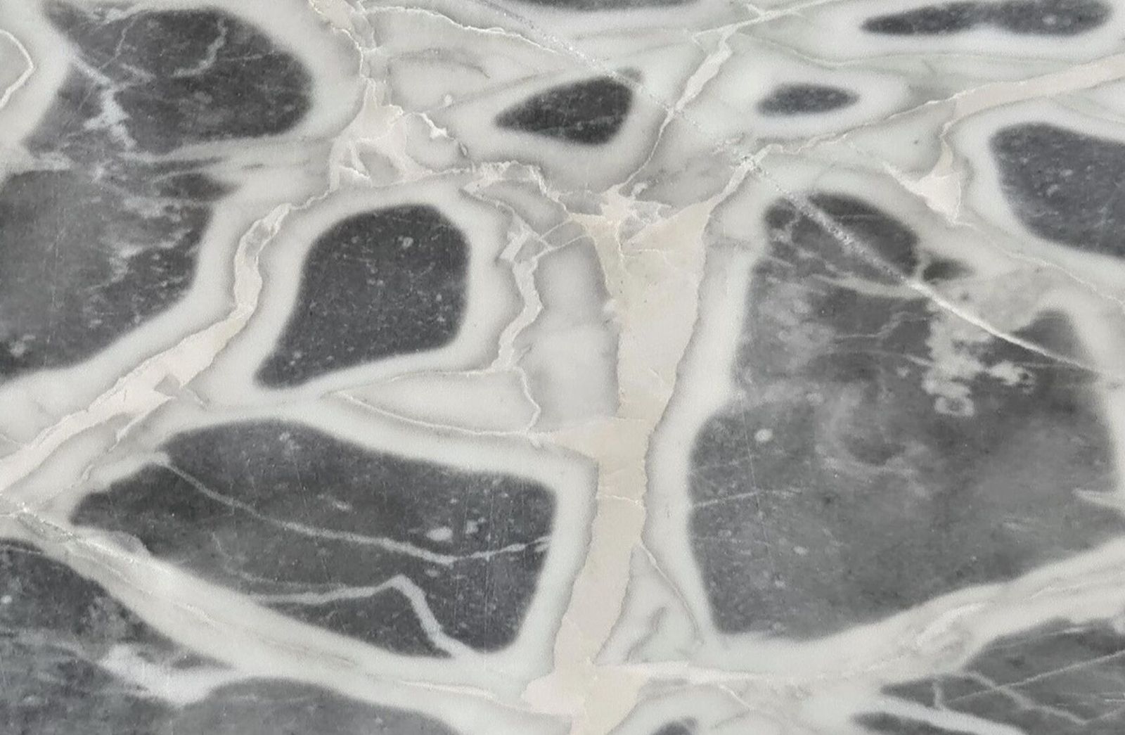 Venature del Calacatta Silver